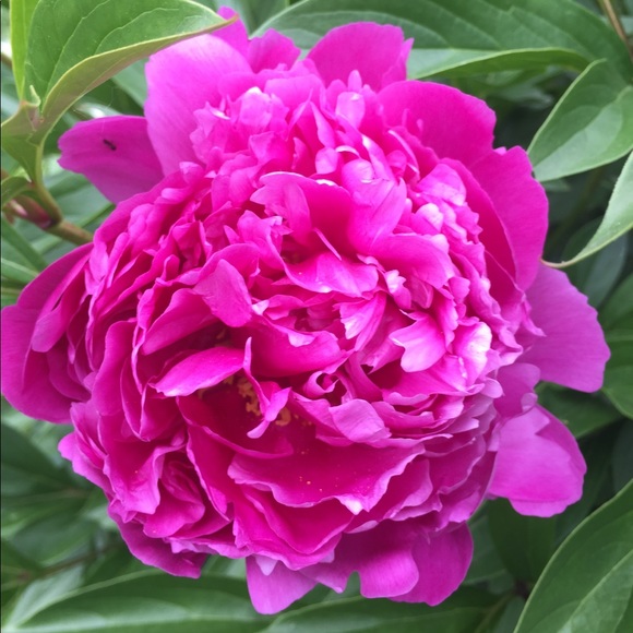bellewelle22